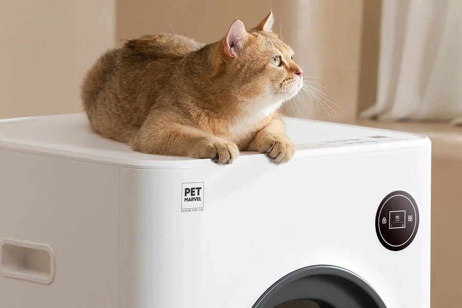 best litter box for large cats